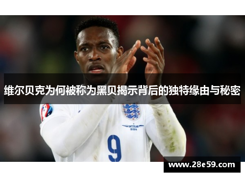 维尔贝克为何被称为黑贝揭示背后的独特缘由与秘密